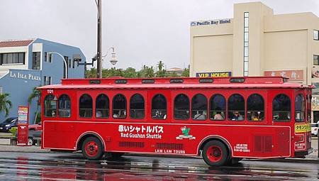 P1010575.jpg