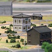 20110604 058.jpg