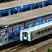 20110604 054.jpg