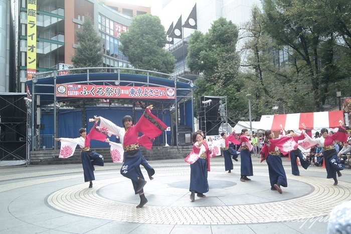 【日本東京】華麗演舞秀 東京最大級Yosakoiよさこい祭 