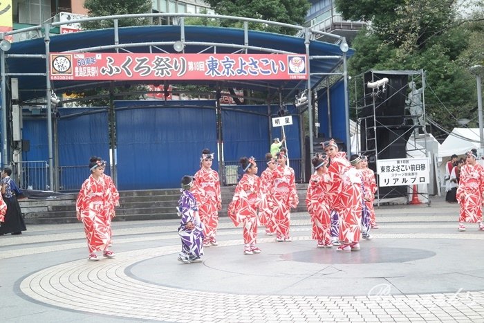 【日本東京】華麗演舞秀 東京最大級Yosakoiよさこい祭 