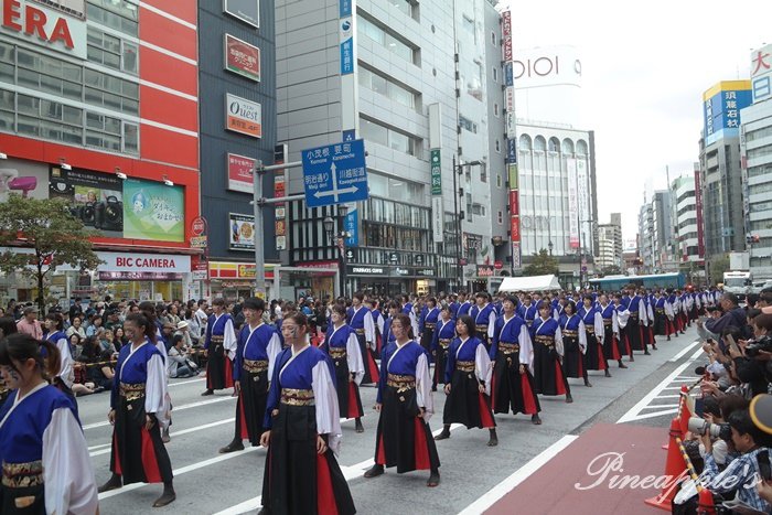 【日本東京】華麗演舞秀 東京最大級Yosakoiよさこい祭 