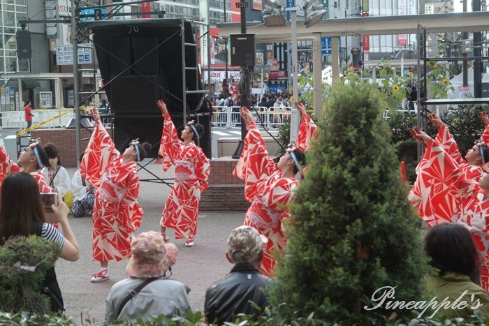 【日本東京】華麗演舞秀 東京最大級Yosakoiよさこい祭 