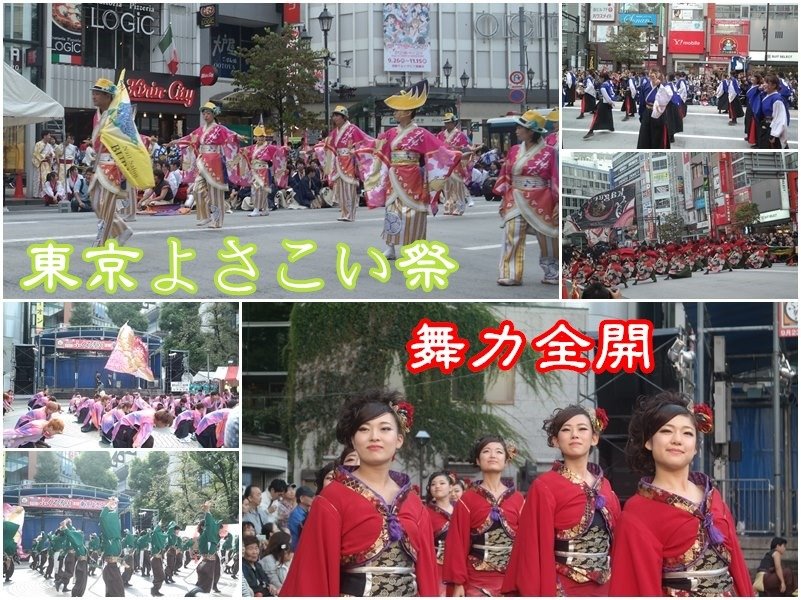 【日本東京】華麗演舞秀 東京最大級Yosakoiよさこい祭 