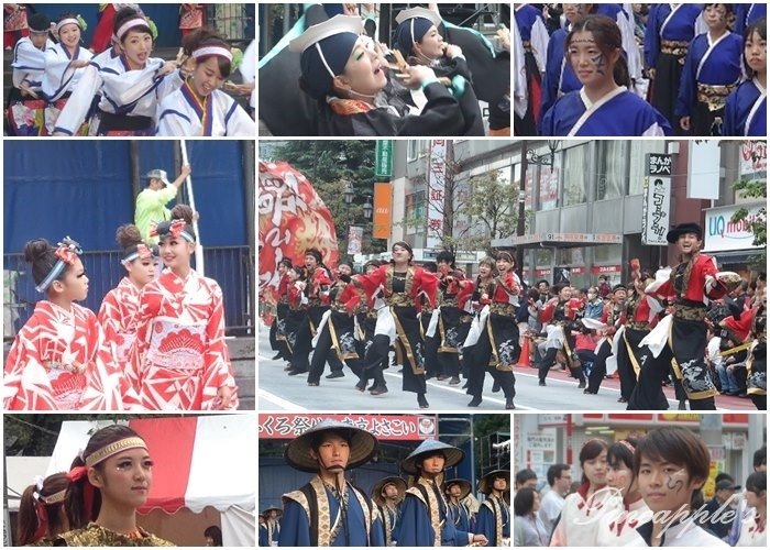 【日本東京】華麗演舞秀 東京最大級Yosakoiよさこい祭 