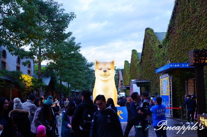 DSC08987.JPG