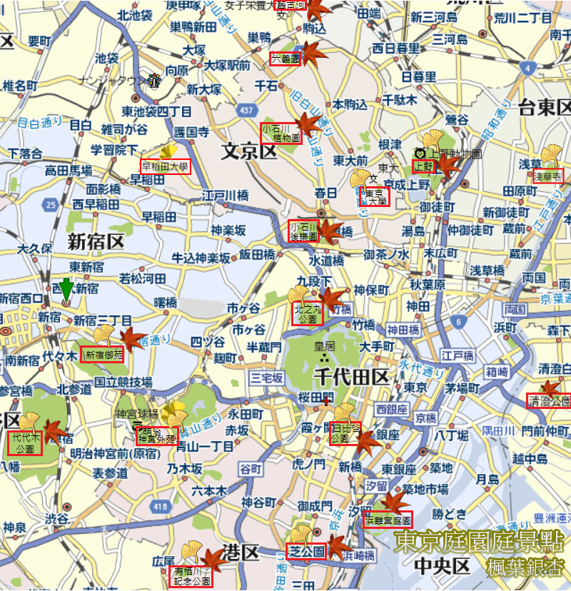 東京楓葉景點--楓11.png