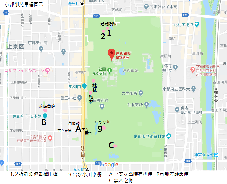 早開櫻地圖.png