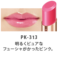 PK313