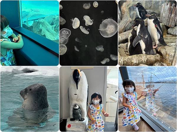 20240630-D3大阪海遊館