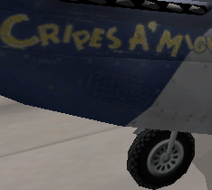 texture512.gif