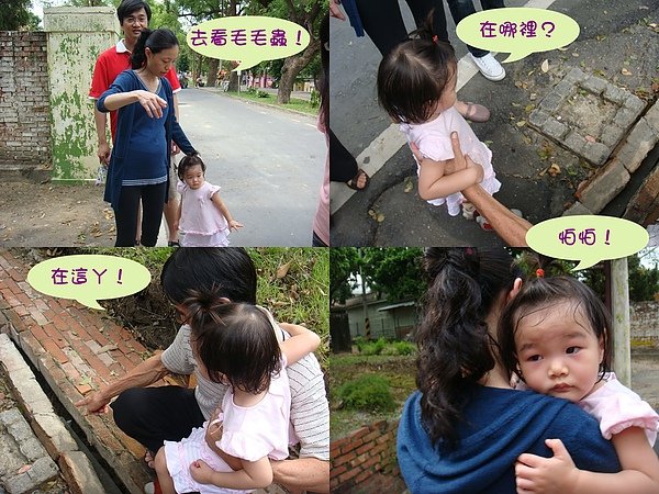 毛毛蟲.jpg