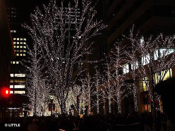 2013.12 東京車站丸之內街頭燈飾