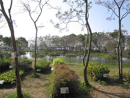 IMG_6937.JPG