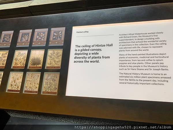 【旅行 / 英國】英國自然史博物館 Natural Hist
