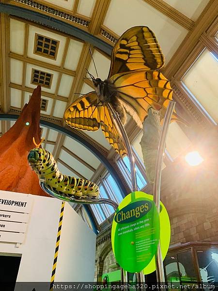【旅行 / 英國】英國自然史博物館 Natural Hist