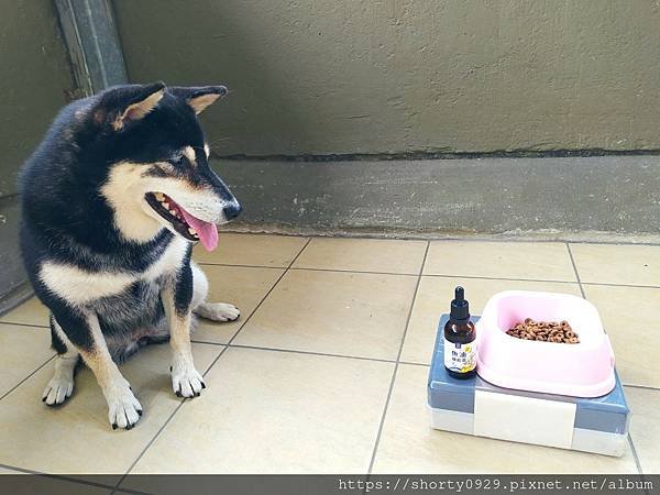 2021 毛起來毛食事計畫 10