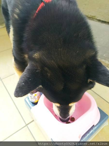 2021 毛起來毛食事計畫 13