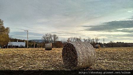 IMG_20141123_161809731_HDR