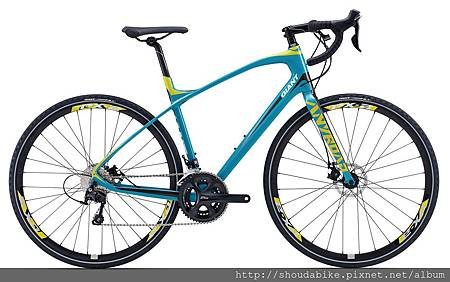 Anyroad CoMax.1.jpg