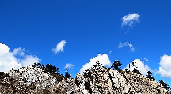 合歡山北峰杜鵑趣01.jpg