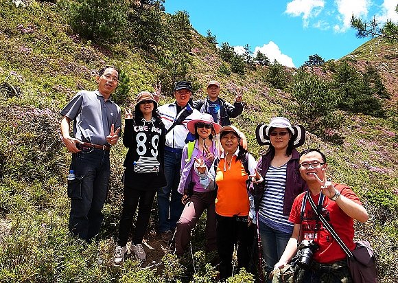 合歡山北峰杜鵑趣10.jpg