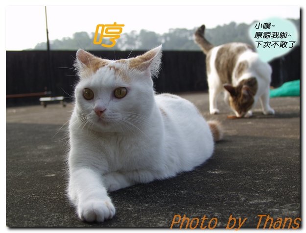 日光浴-11.JPG