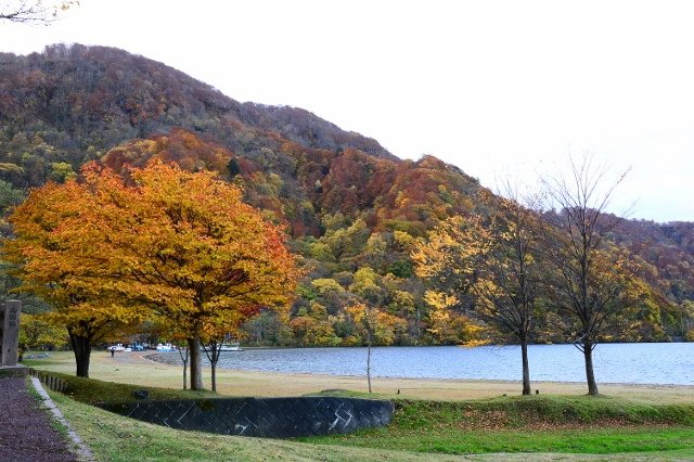 DSC_6142 (640x426).jpg