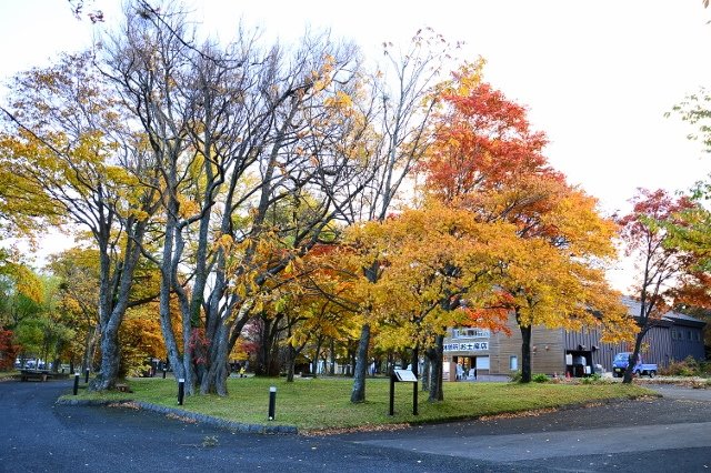 DSC_6154 (640x426).jpg