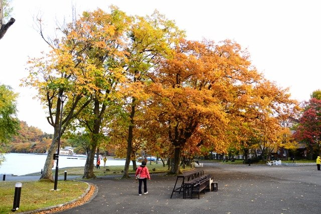 DSC_6159 (640x426).jpg