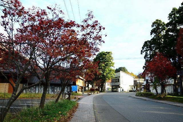 DSC_6263 (640x426)