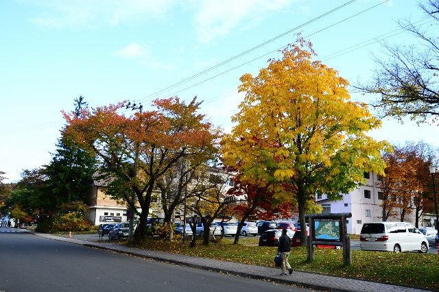 DSC_6310 (640x426)