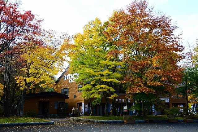 DSC_6320 (640x426)