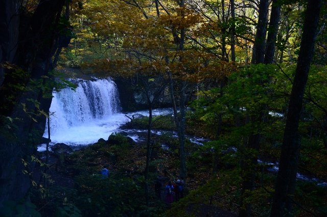 DSC_6355 (640x426).jpg