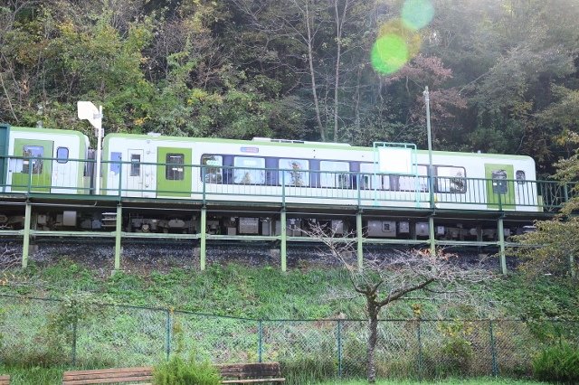 DSC_6813 (640x426)