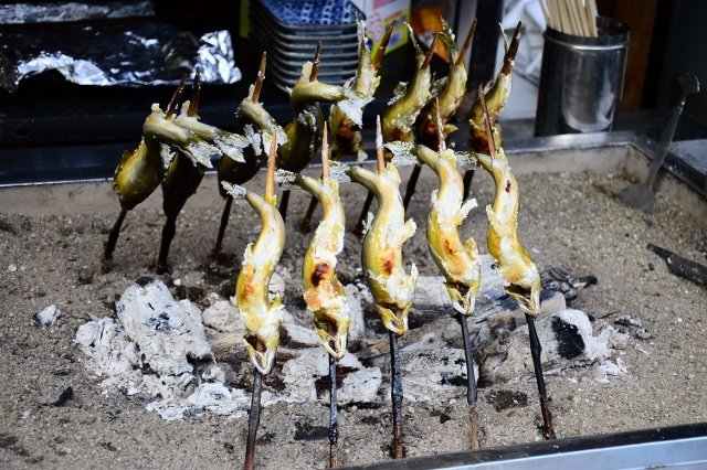DSC_6828 (640x426)
