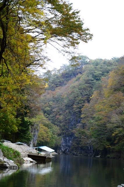 DSC_6854 (426x640)