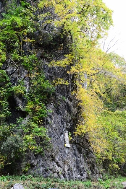DSC_6855 (426x640)