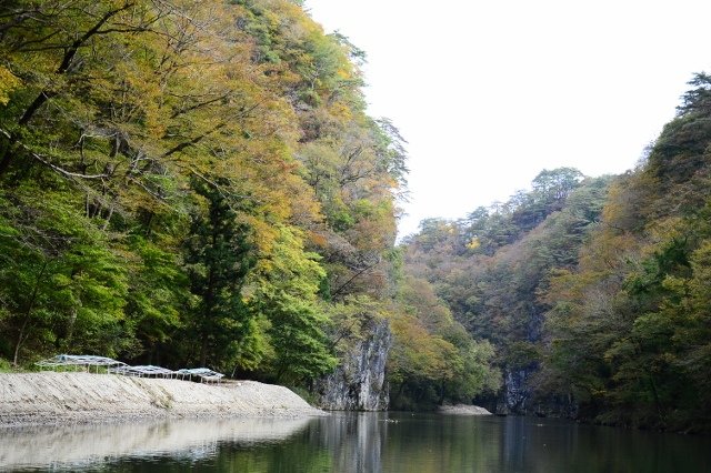 DSC_6859 (640x426)