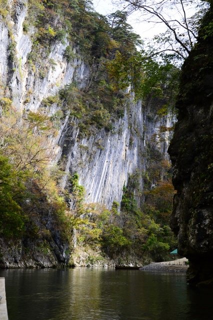 DSC_6921 (426x640)