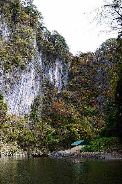 DSC_6923 (426x640)