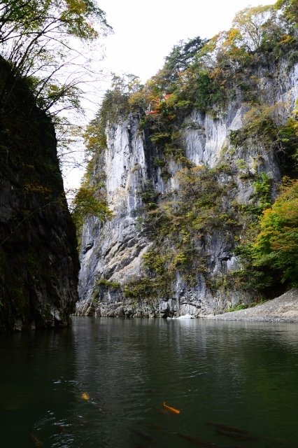 DSC_6929 (426x640)