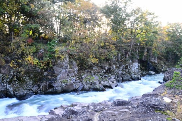 DSC_7104 (640x426).jpg