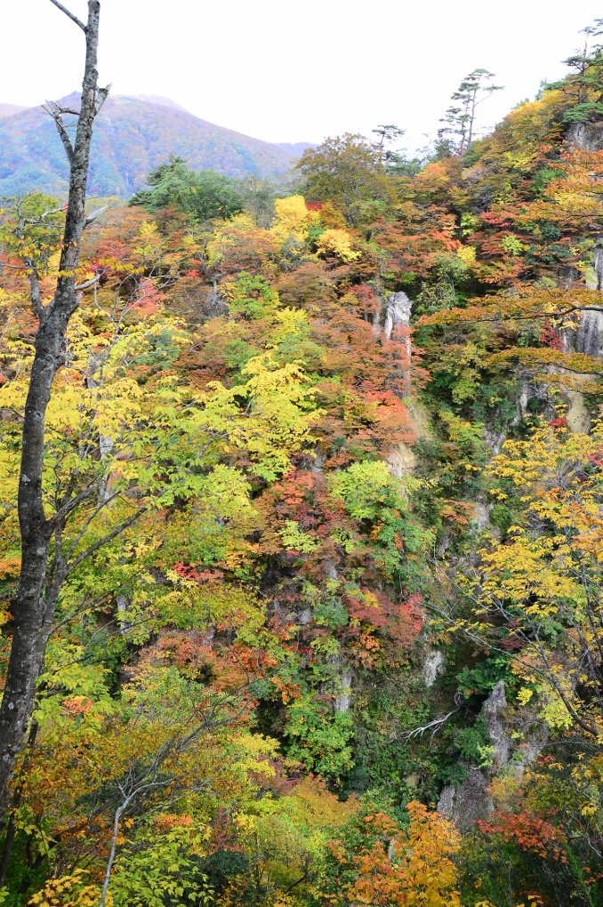 DSC_7380 (678x1020).jpg