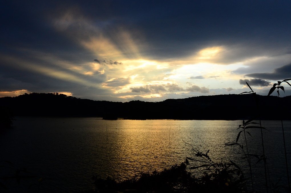 DSC_7695 (1020x678)