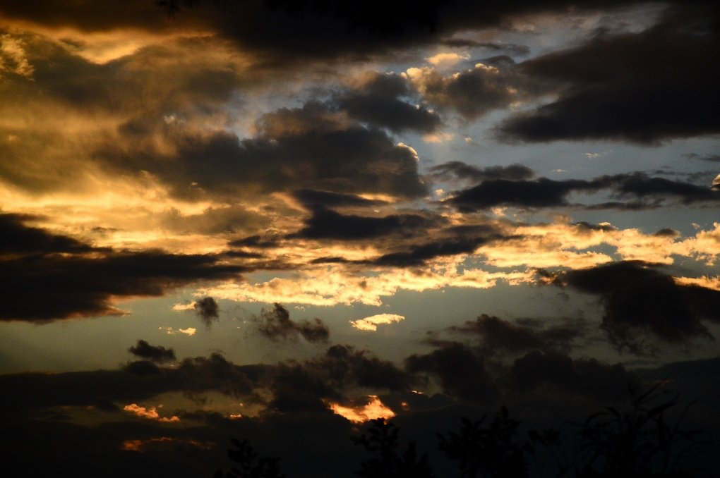 DSC_7710 (1020x678)