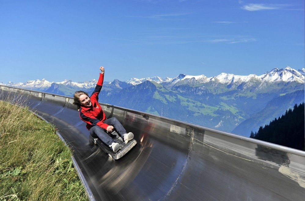 summer toboggan run
