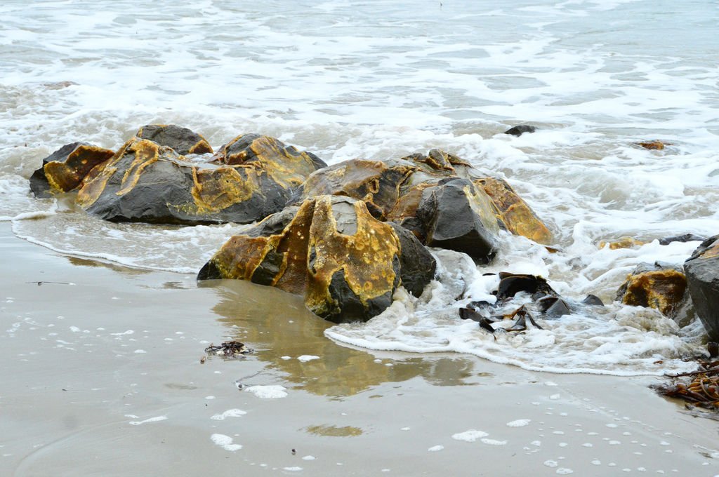 DSC_5184.bmp