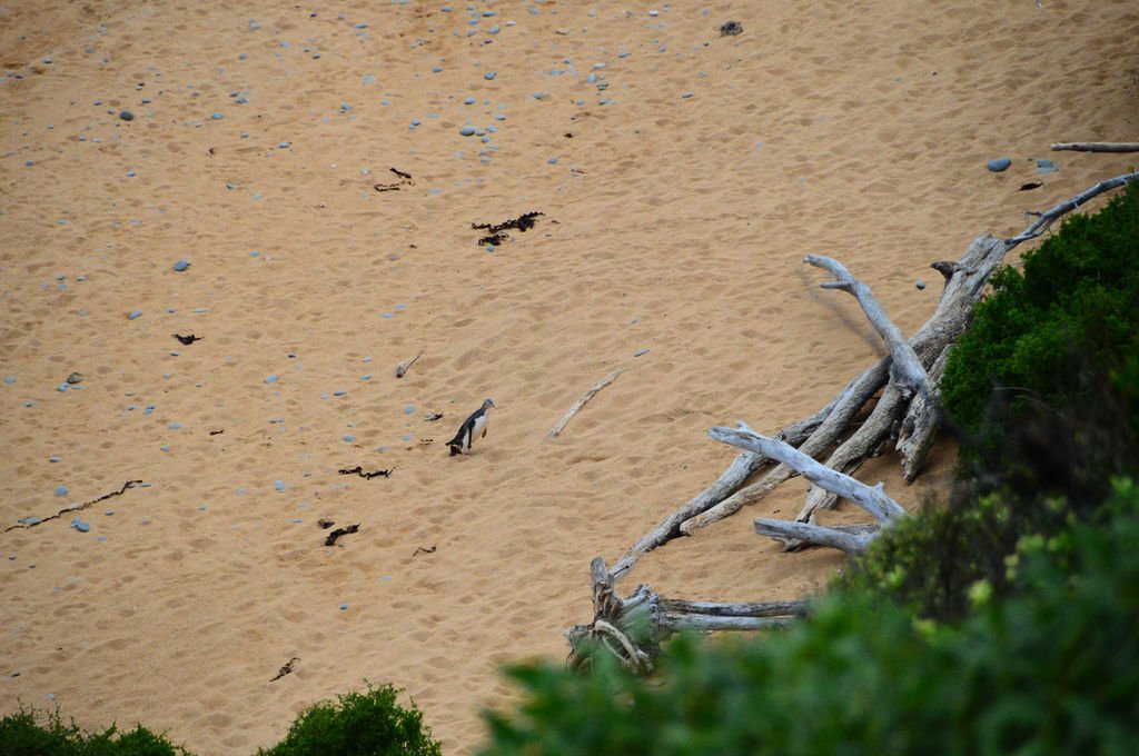 DSC_5458.bmp