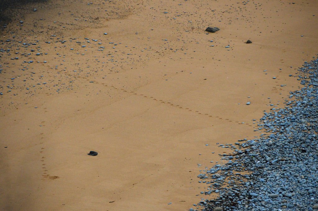DSC_5461.bmp
